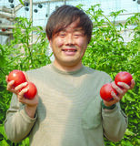 おいしいトマトを年中届けたい　JAおやまの「トマト」