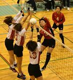 栃木県ママさんバレー選手権
