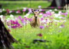 [２５]科学の進歩がもたらすものは…