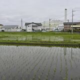学ぼう鹿沼の自然 児童向け講座「田んぼラボ」、7月開講 都内のスタートアップが協力