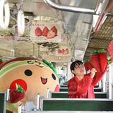 イチゴスイーツの車内販売も　真岡で２月４日「いちごＳＬ」イベント　とちまるくんも客車内を飾り付け