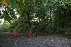 緊急銃猟で初クマ駆除