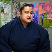 若ノ勝（宇都宮出身）が新十両昇進確実　大相撲初場所11日目で勝ち越し