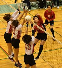 栃木県ママさんバレー選手権
