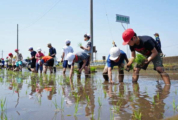 青空の下、田植えを体験する子どもたち