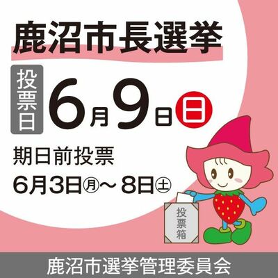 市長選を周知するデジタル広告