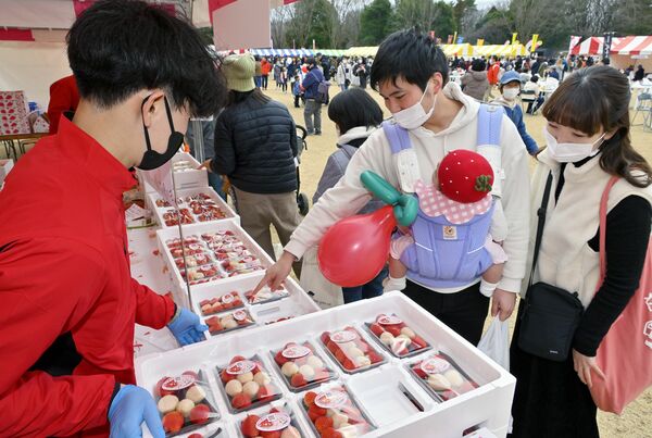 ずらりと並んだブースでイチゴを買い求める来場者＝15日午後、真岡市下籠谷、森田大地撮影