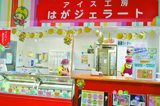 約20種類の季節の手作りジェラートを販売