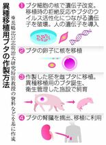 技術進歩 臨床にめど