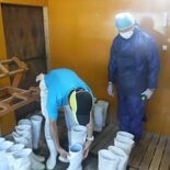 豚熱対策に専門獣医師　栃木県がモデル農場へ派遣　防疫状況を確認し助言