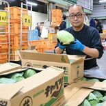 未明の戦場へ「使命感胸に」 青果仲卸会社社長・柏崎泰宏さん 命支える食…