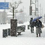 寒気襲来、県南部でも雪　ホワイトクリスマスイブに【動画】