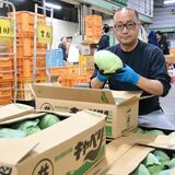 未明の戦場へ「使命感胸に」　青果仲卸会社社長・柏崎泰宏さん　命支える食材を届ける