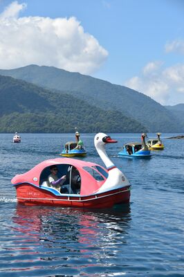 多くの人が参加したスワンボートレース