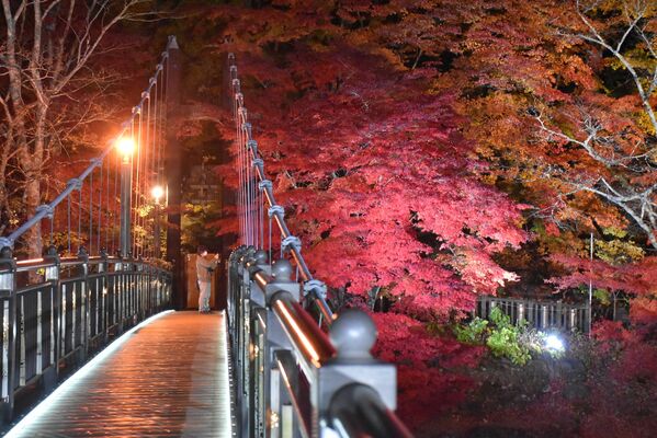 ライトアップされた紅の吊橋