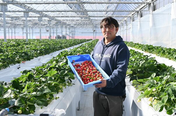 新設したハウスで収穫したイチゴを手にする阿部社長＝宇都宮市
