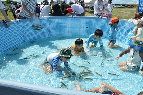 河川敷設置のプールでアユを追う子どもたち
