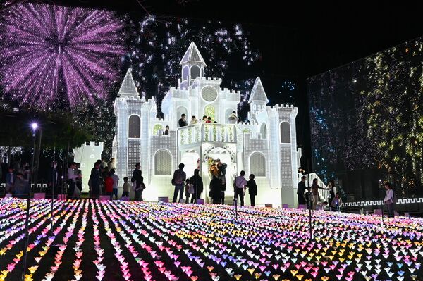 園内を幻想的に彩るイルミネーション=18日午後6時15分、足利市迫間町