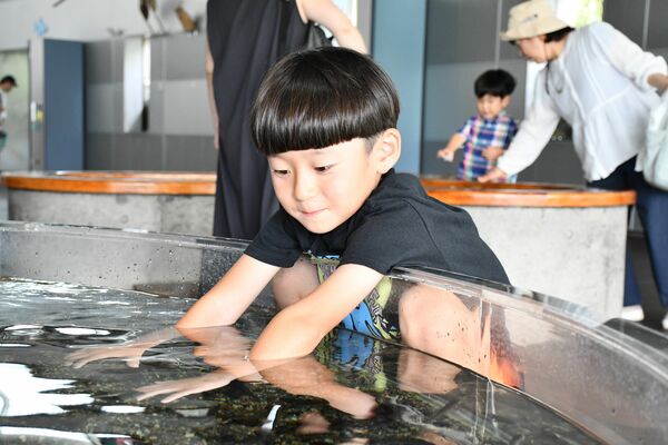 「ドクターフィッシュ」の水槽に手を差し入れる子ども
